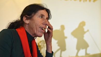 Photo of „Не ме плаши корона, туку лоши луѓе“: Атиџе разочарана, и скршиле 20 нови, а две стари трмки со пчели и украле