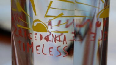 Photo of СКТМ: Ќе се затворат 800 туристички агенции и туроператори ако бидат изземени од мерката „ваучери за домашен туризам“