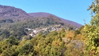 Photo of Репортажа – Атиџе од Црвена Вода: Нам „секирата во медот” ни падна „природно“!