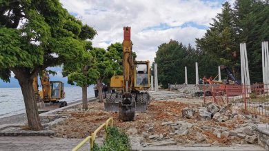 Photo of Плажата „Немо“ срамнета со земја