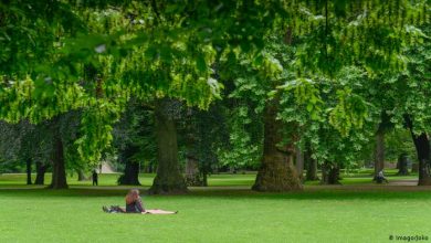 Photo of Зелените оази во Келн