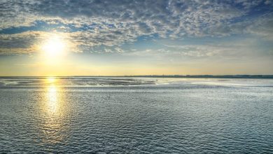Photo of Европските мора би можеле да претрпат „непоправлива штета“