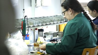 Photo of Finance Think: Со финансиската поддршка за компаниите се сочувале 80 проценти од работните места