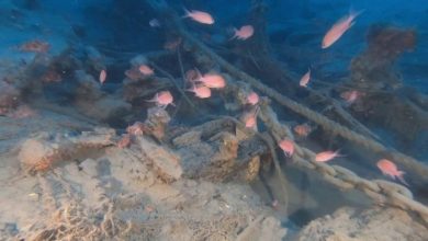 Photo of Италијански нуркачи откриле остатоци од брод од периодот на ренесансата