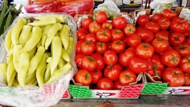 Photo of АХВ го демантира ВМРО ДПМНЕ- Нема ниту една увозна пратка со домати позитивна на пестициди