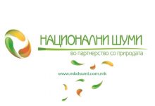 Photo of Кривична пријава за поранешен директор на „Национални шуми“: Предизвикал штета од над 2 милиони денари