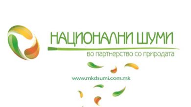 Photo of Кривична пријава за поранешен директор на „Национални шуми“: Предизвикал штета од над 2 милиони денари