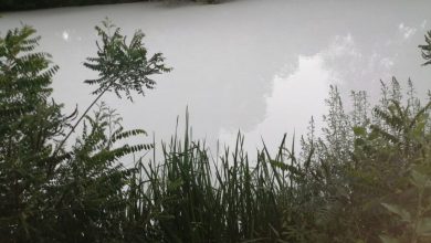 Photo of Земени мостри од местото каде се испуштаат хемикалиите во реката Брегалница