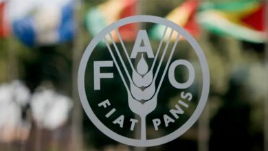 Photo of ФАО: Во јуни, првпат годинава, се зголеми цената на храната