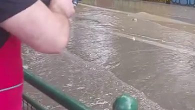 Photo of ВИДЕО: По невремето во Чаир извадија трски за ловење риба