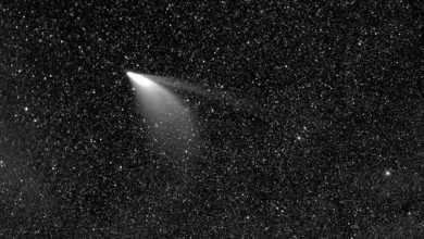 Photo of Кометата Неовајз видена од Земјината Орбита