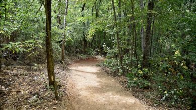 Photo of Почна уредувањето на нова планинска велосипедска патека на Водно