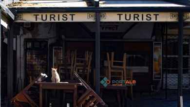 Photo of АНАЛИЗА: Градежништво, туризам, преработувачка индустрија – оцени и очекувања на бизнесмените!