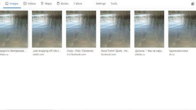 Photo of Лажна е веста за фотографиран сом во Велешкото езеро