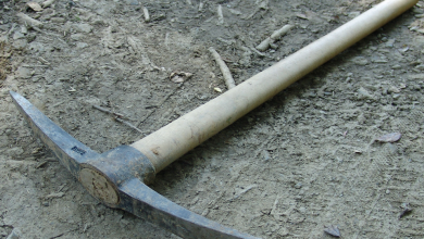 Photo of Копала тунел за син ѝ да избега од затвор