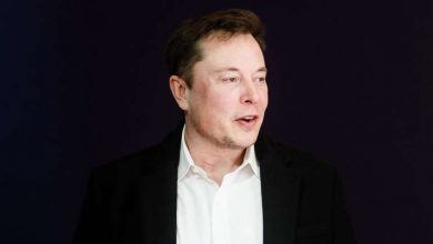 Photo of Маск: Пирамидите во Египет се изградени од вонземјани