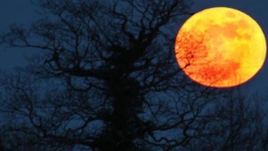 Photo of Месечината се оддалечува од нас