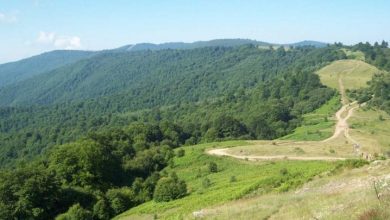 Photo of Почнува кампања за прогласување на Осоговските Планини за заштитен предел