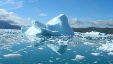 Photo of Студија: Нема спас за мразот на Гренланд