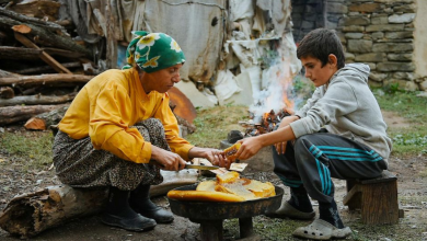 Photo of „Медена земја“ од денеска во француските киносали