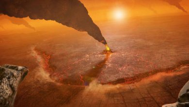 Photo of Научниците претпоставуваат постоење живот на Венера