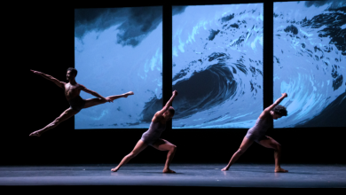 Photo of Почнува 16. „Танц фест“