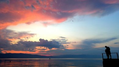 Photo of Денеска променливо облачно, со услови за пороен дожд на истокот