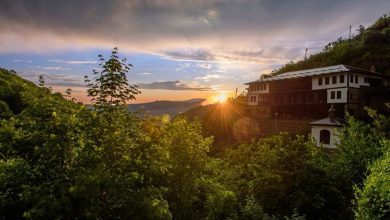 Photo of Утре започнува 34. Меѓународна ликовна колонија „Свети Јоаким Осоговски“
