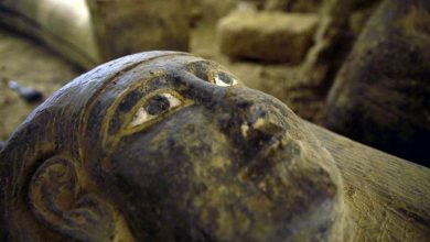 Photo of Во Египет пронајдени 27 саркофази, стари над 2.500 години