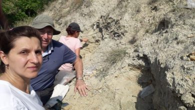 Photo of Газели, антилопи, зебри, жирафи, галопирале низ Тиквешко во минатото