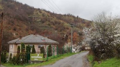 Photo of Напуштила студии во Америка поради дрога, албанска државјанка се справи со зависноста во Конопиште
