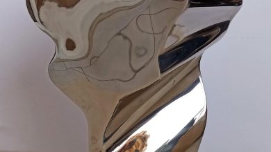 Photo of Отворена „Годишната изложба“ на ДЛУМ