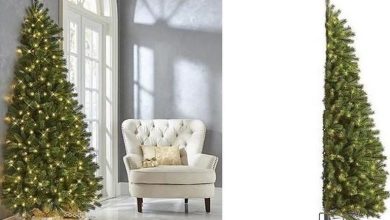 Photo of Половина елка за помали живеалишта