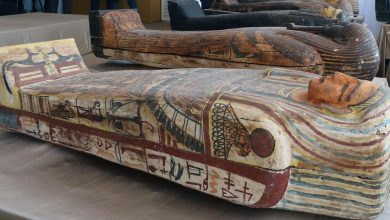 Photo of Во Египет откриени 59 саркофази стари над 2.600 години