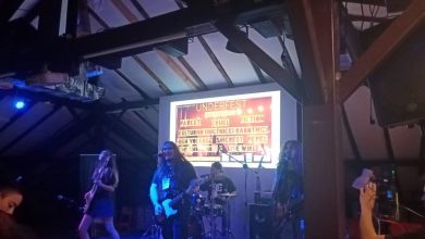 Photo of Во Скопје почна музичкиот фестивал „Андерфест“