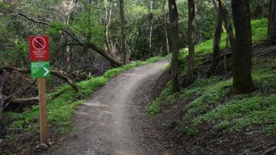 Photo of Водно станува вело дестинација, отворена првата велосипедска патека