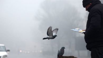 Photo of ИРЛ: БЕГ резервира мазут од Ратко Капушевски за цела грејна сезона во случај да снема гас за греење на скопјани