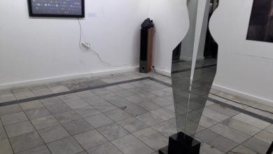 Photo of Во Кавадарци отворена изложба посветена на различностите