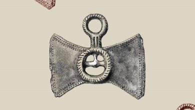 Photo of Mеѓународна конференција „Предисторија во Македонија“