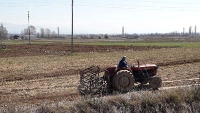 Photo of Заев: Се стремиме кон нови пазари и создавање конкурентност на земјоделските производи