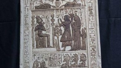 Photo of ФОТО+ВИДЕО: Големо откритие во Египет – откриен погребен храм со 50 саркофази