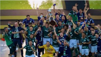 Photo of Палмеирас со гол во финишот го освои Копа Либертадорес