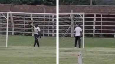 Photo of (Видео) Тренер од Замбија е суспендиран откако „се олеснил” врз голот