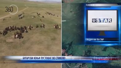 Photo of (ВИДЕО) „Центарска“ саботажа