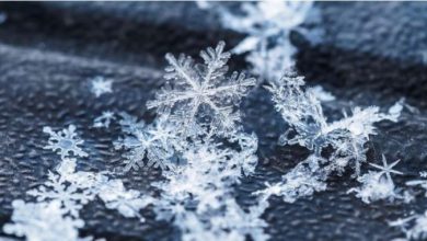 Photo of Во Берово измерени – 16 степени, дневните температури од -5 до четири степени
