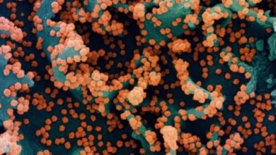 Photo of Нови позитивни на коронавирус во Атлетико Мадрид пред вечерашниот дуел со Селта