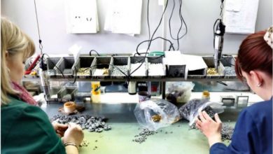 Photo of Слободни околу 7.000 работни места