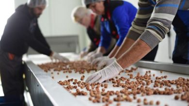 Photo of За поддршка на плати во февруари и март 1,92 милијарди денари, за бескаматни кредити цела година 615 милиони денари