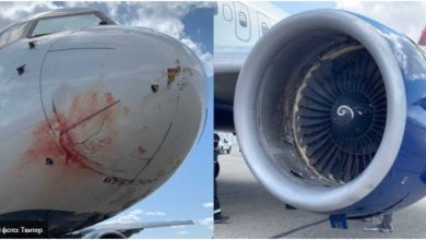 Photo of Авионот на Јута принудно слета по судир со птици