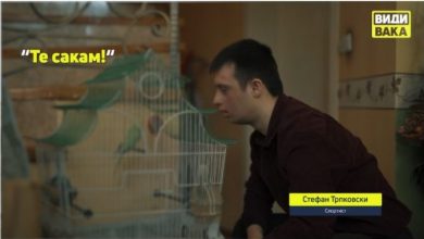 Photo of „Над брановите од животот“ со Марио и Стефан кои испраќаат важна порака на Светскиот ден на лицата со Даунов синдром
